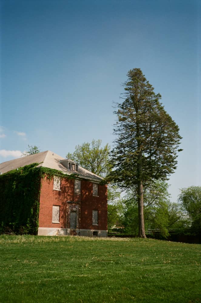 film/0019-0003265200/000326520036_rfgtz5