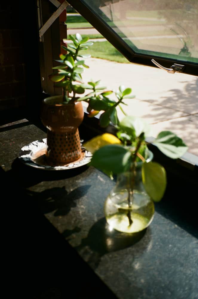 film/0019-0003265200/000326520038_jvvmp2