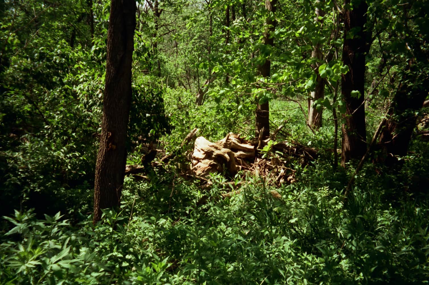 film/0021-0003030300/000303030010_ry9ako