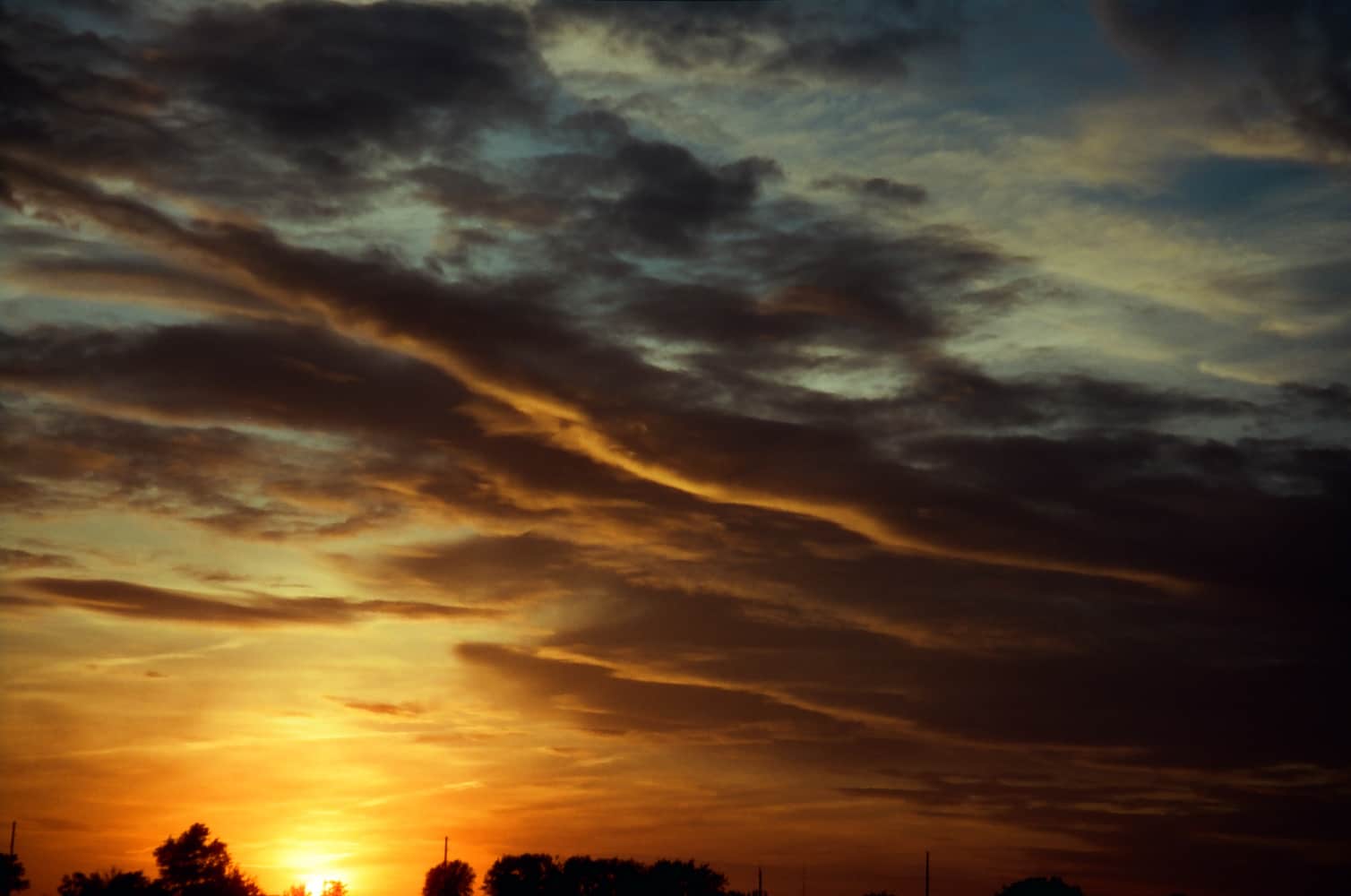 film/0021-0003030300/000303030035_a54jn8