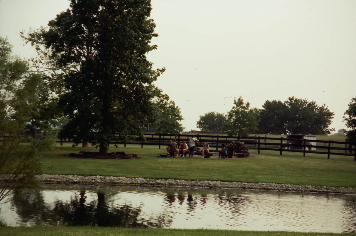 film/0021-0003030300/000303030036_qcnwx4