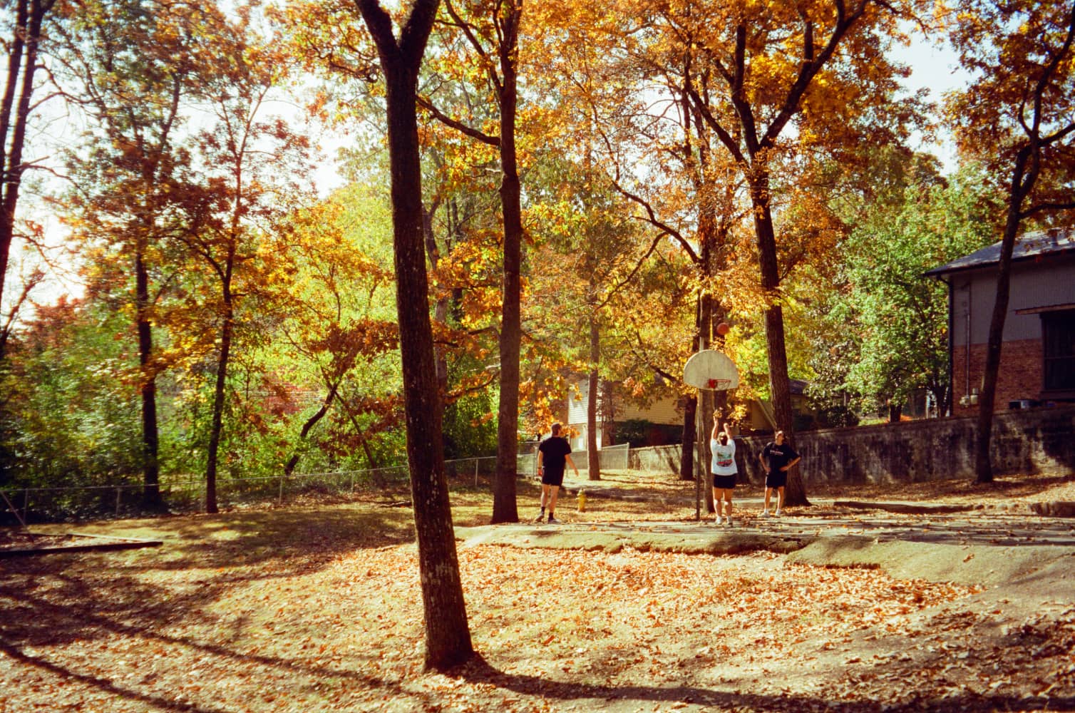 film/0023-0000602100/000060210022_zspnns