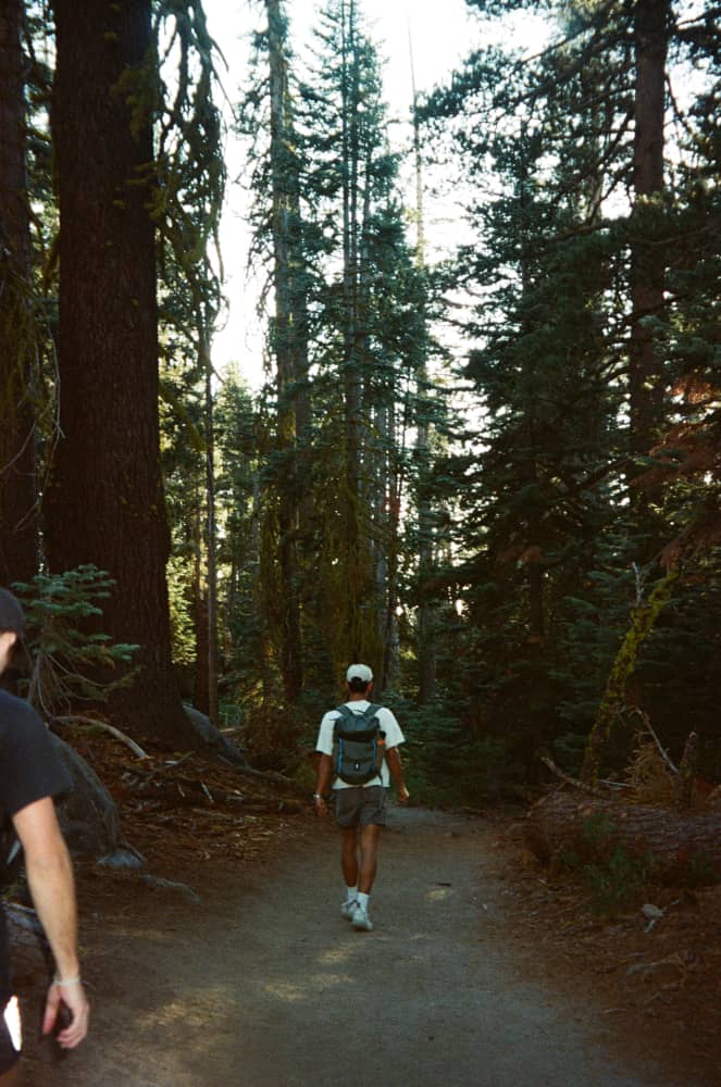 film/0024-0009886700/000988670003-edited_es2gsg