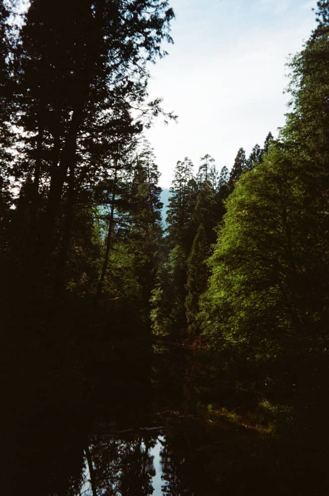 film/0024-0009886700/000988670012-edited_kdupg3