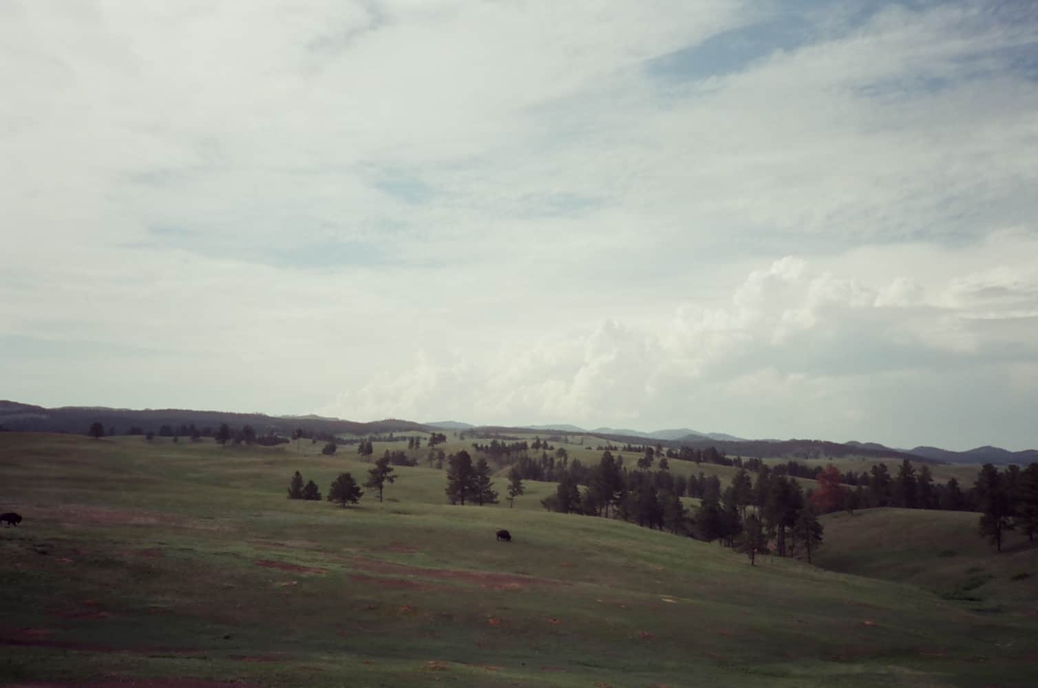 film/0027-0000933400/000093340008_vnkjst