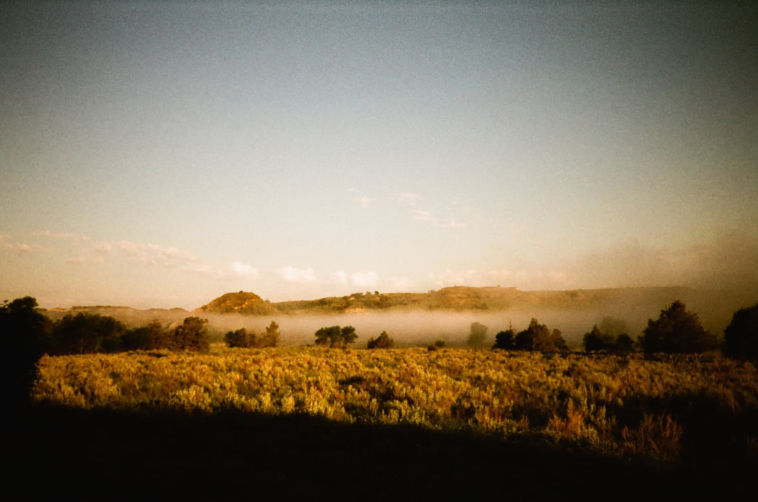 film/0028-0000933500/000093350001_hw2dfu