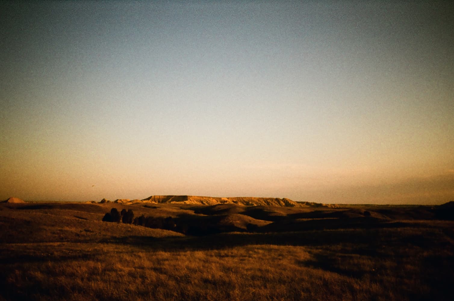 film/0028-0000933500/000093350007_raceou