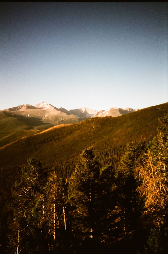 film/0028-0000933500/000093350013_injane