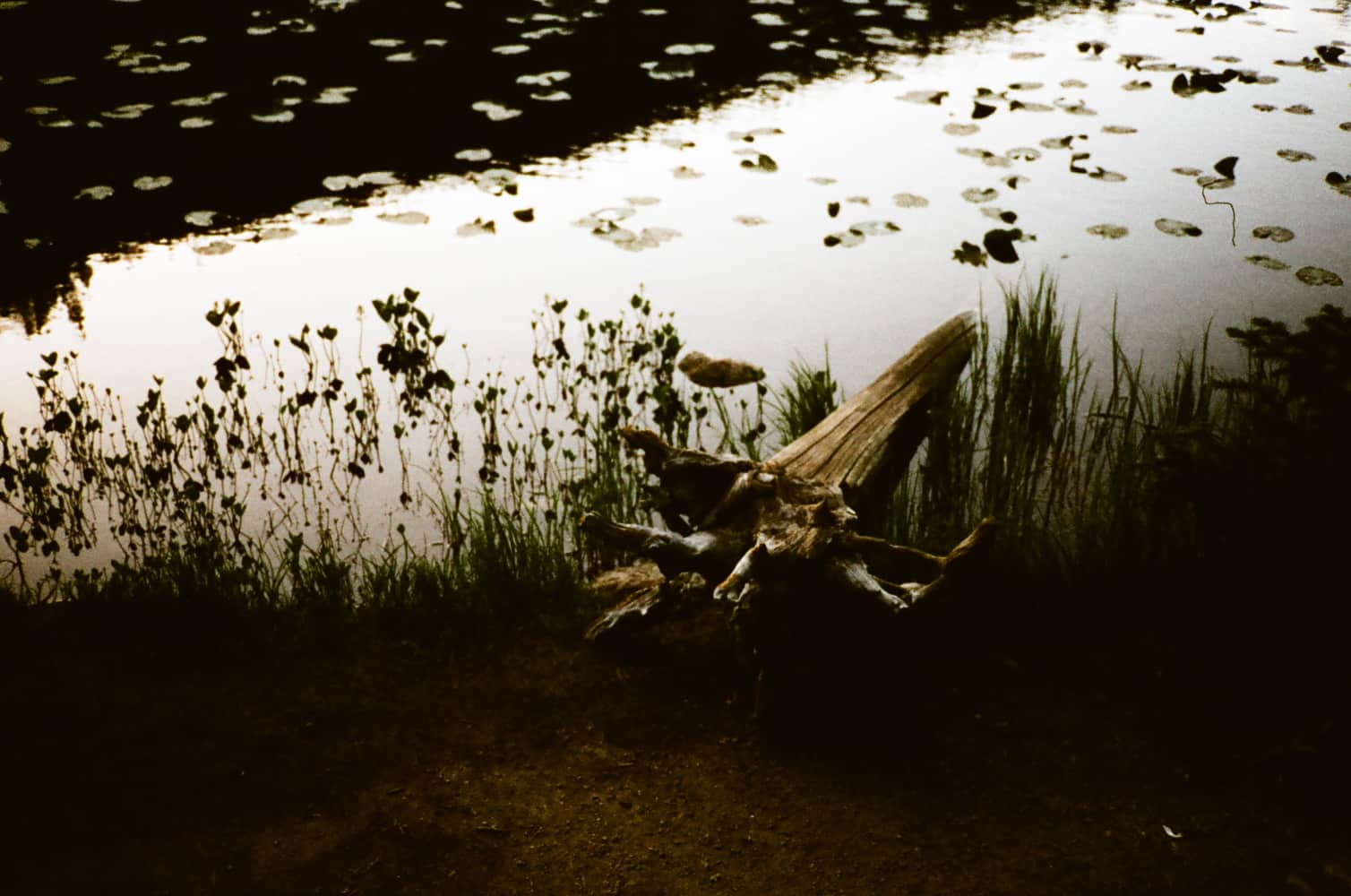 film/0028-0000933500/000093350023_kijri3