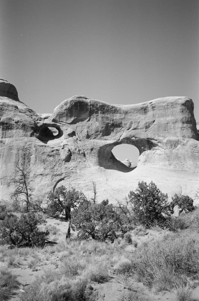 film/0029-0000610600/000061060011_agryzc