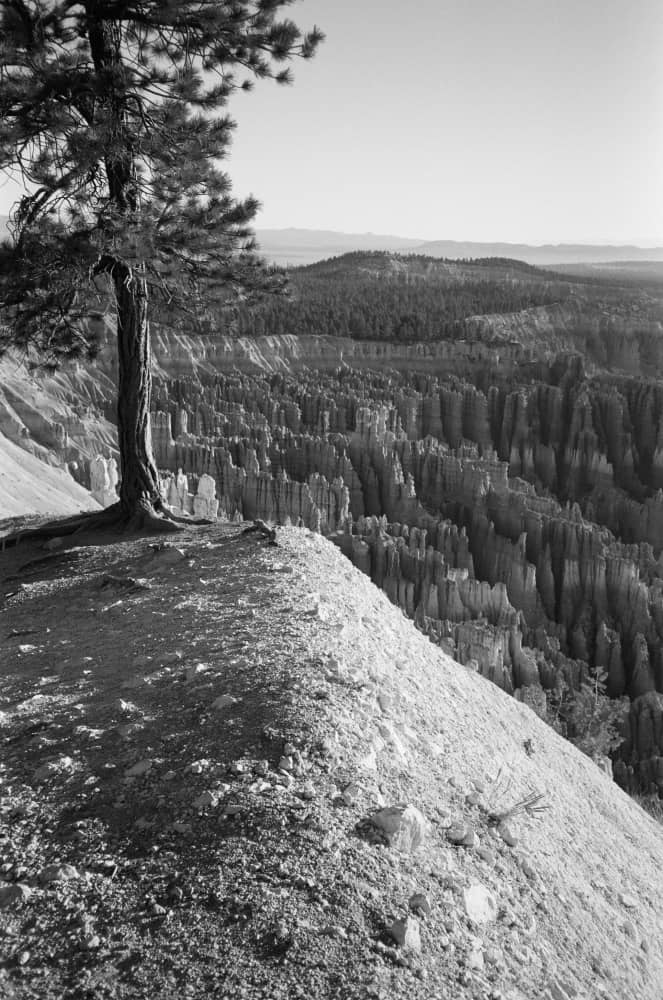 film/0029-0000610600/000061060035_gtusri