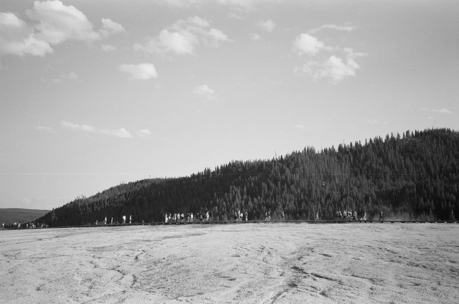 film/0030-0000610700/000061070006_bjzzhl