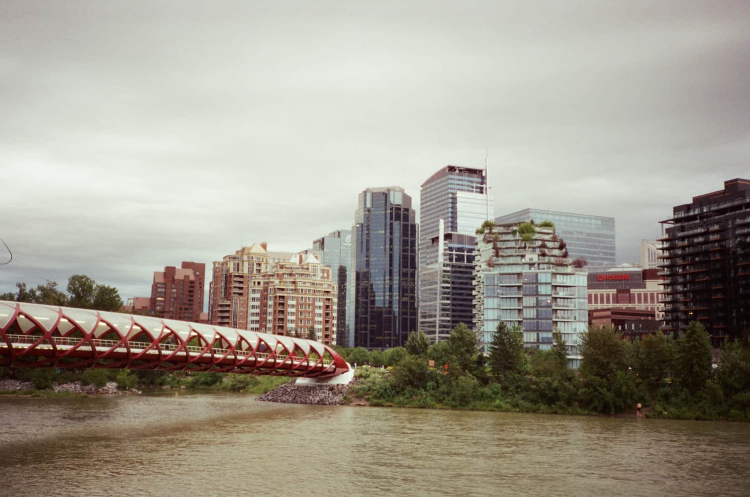 film/0031-0000952400/000095240005_t3h5g2