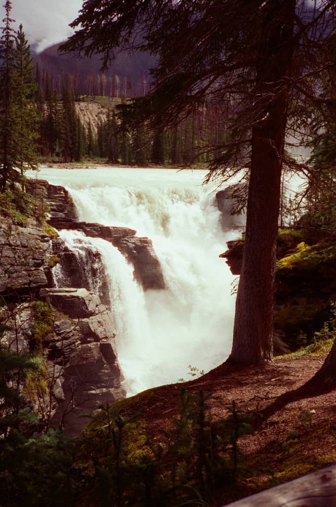 film/0031-0000952400/000095240013_dchk8n