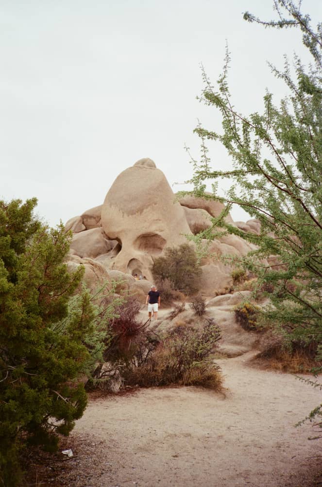 film/0034-0005171900/000517190012-edited_xy2uup