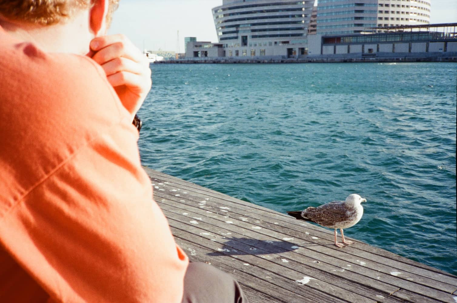 film/0034-0005171900/000517190031_k6ogth