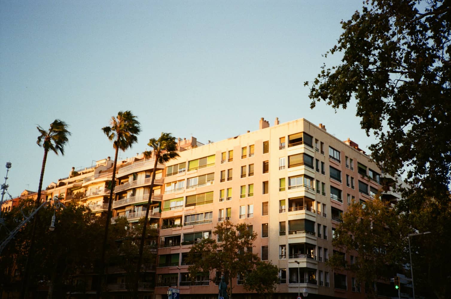 film/0034-0005171900/000517190032_ej2zzx