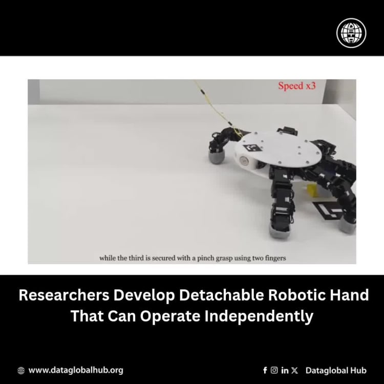 Researchers Develop Detachable Robotic Hand That Can Operate Independently