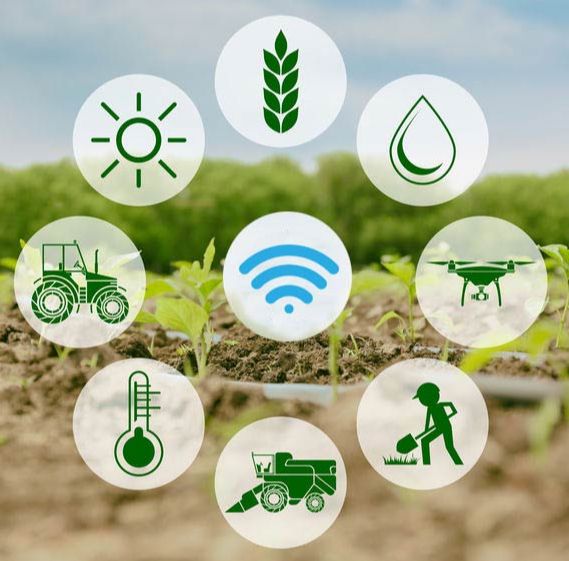 Smart-farming-IoT-application- in-Agriculture.jpeg