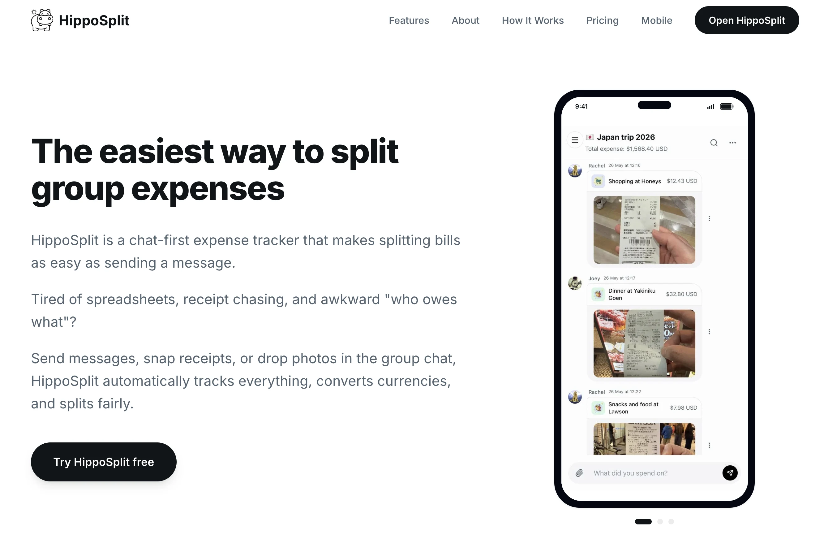 HippoSplit chat-first expense tracker