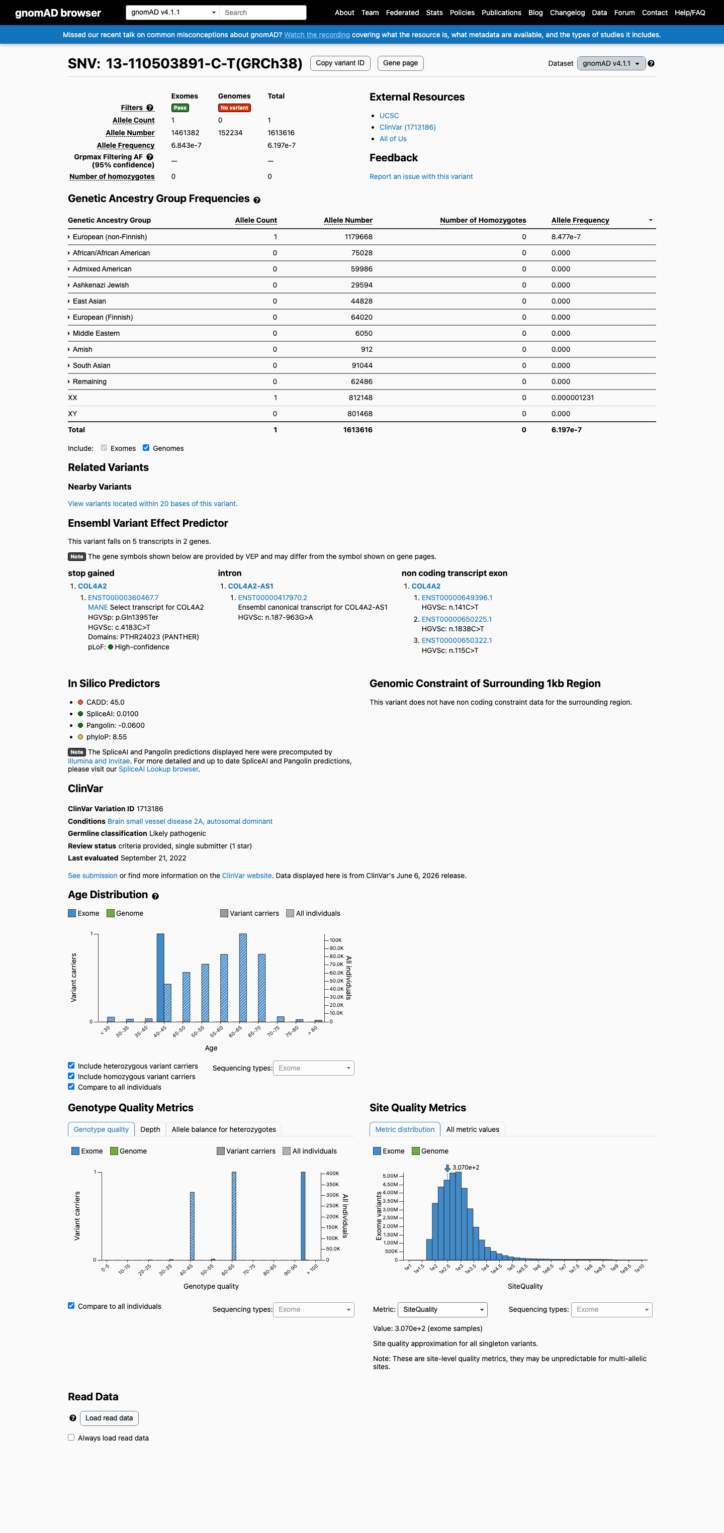 gnomAD v4.1 screenshot