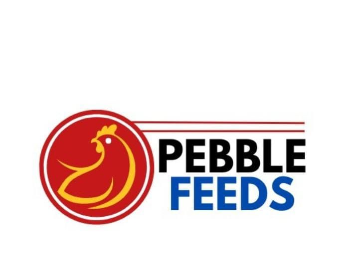 Pebble Feeds