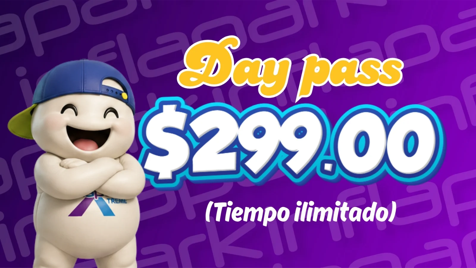 Day pass