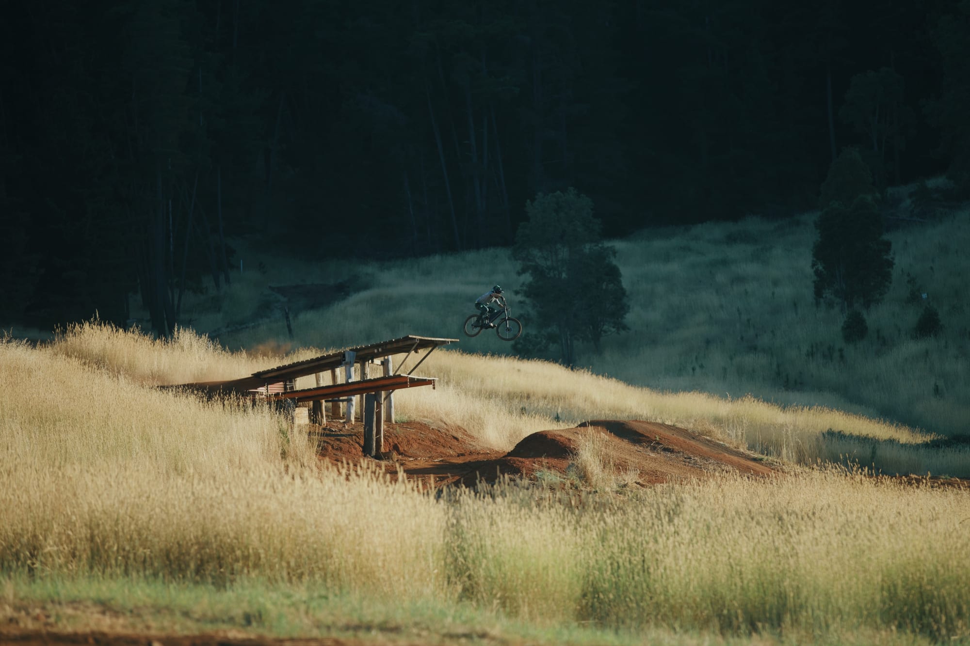 Bonnell rider