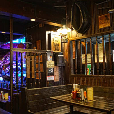 Ned Kelly's Last Stand
