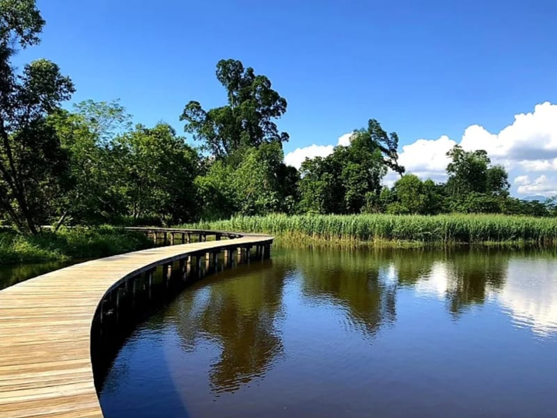 Environment and atmosphere at 香港濕地公園 - 香港最高峰行山及景觀 - 環境 - relaxation in Hong Kong