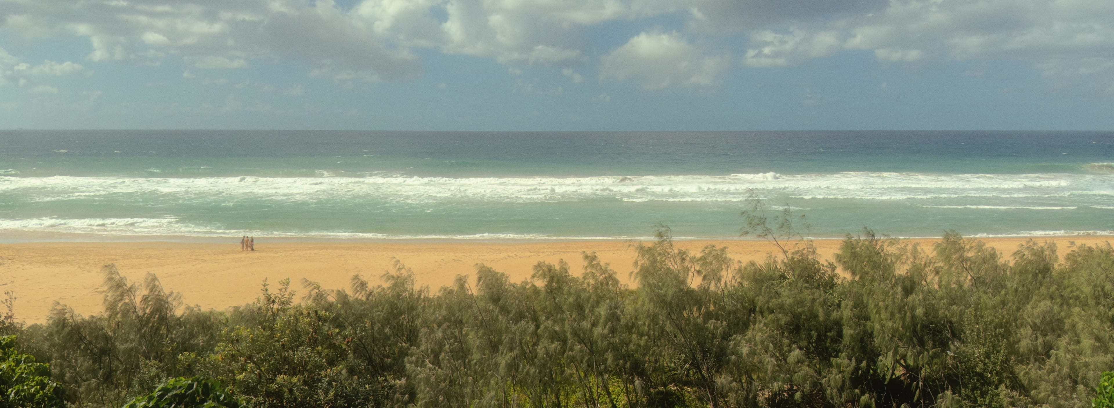 Buddina's Wide Horizon