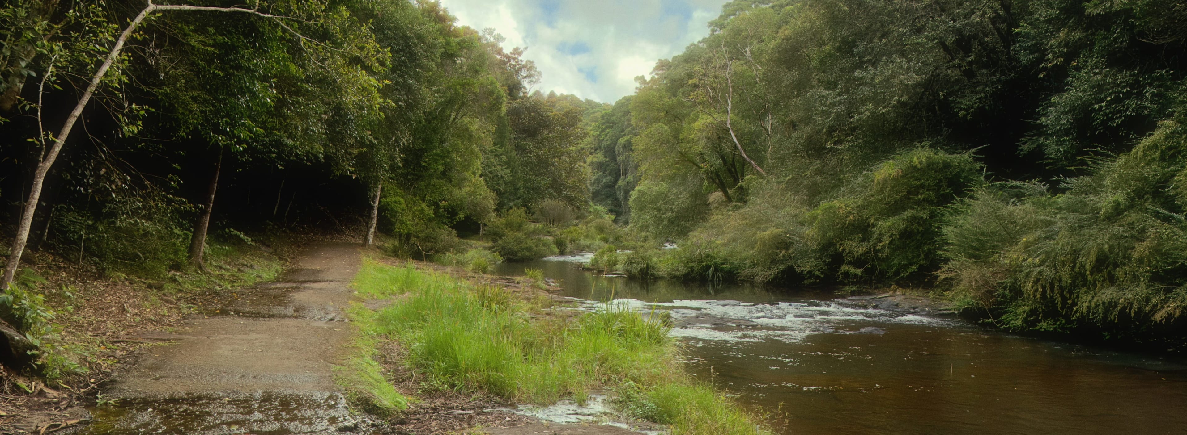Creek-side Path