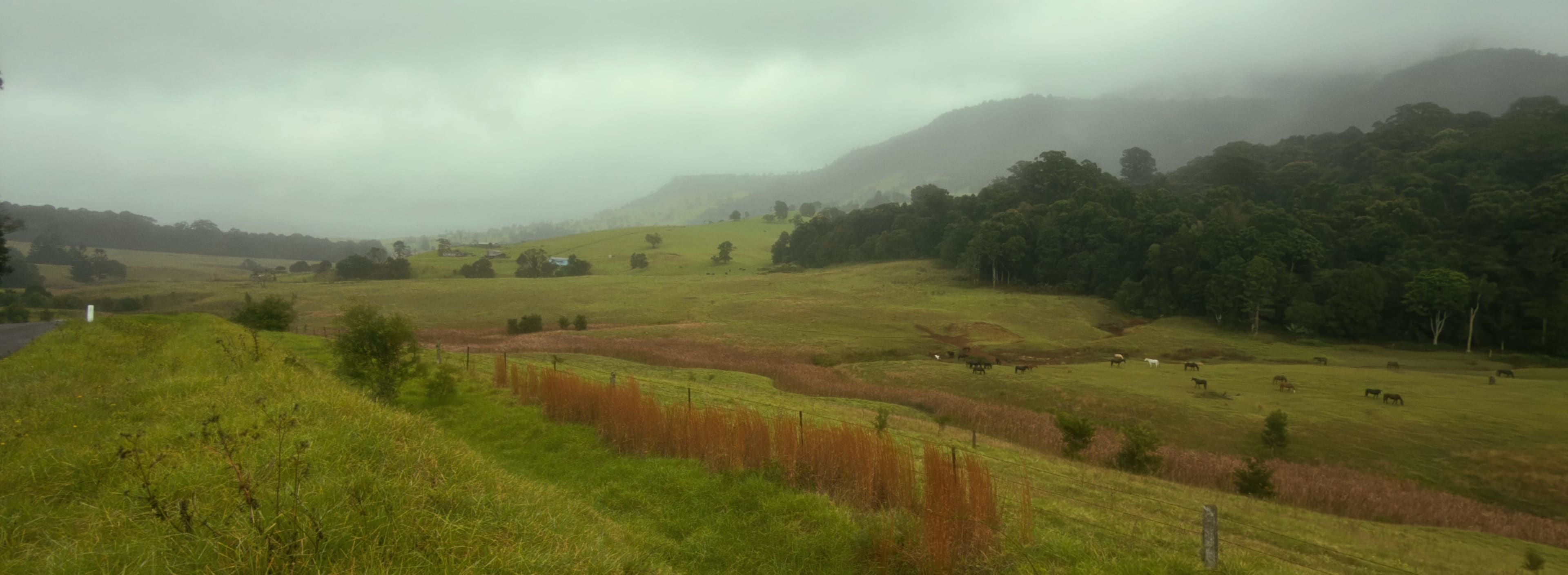 Misty Valley Slopes