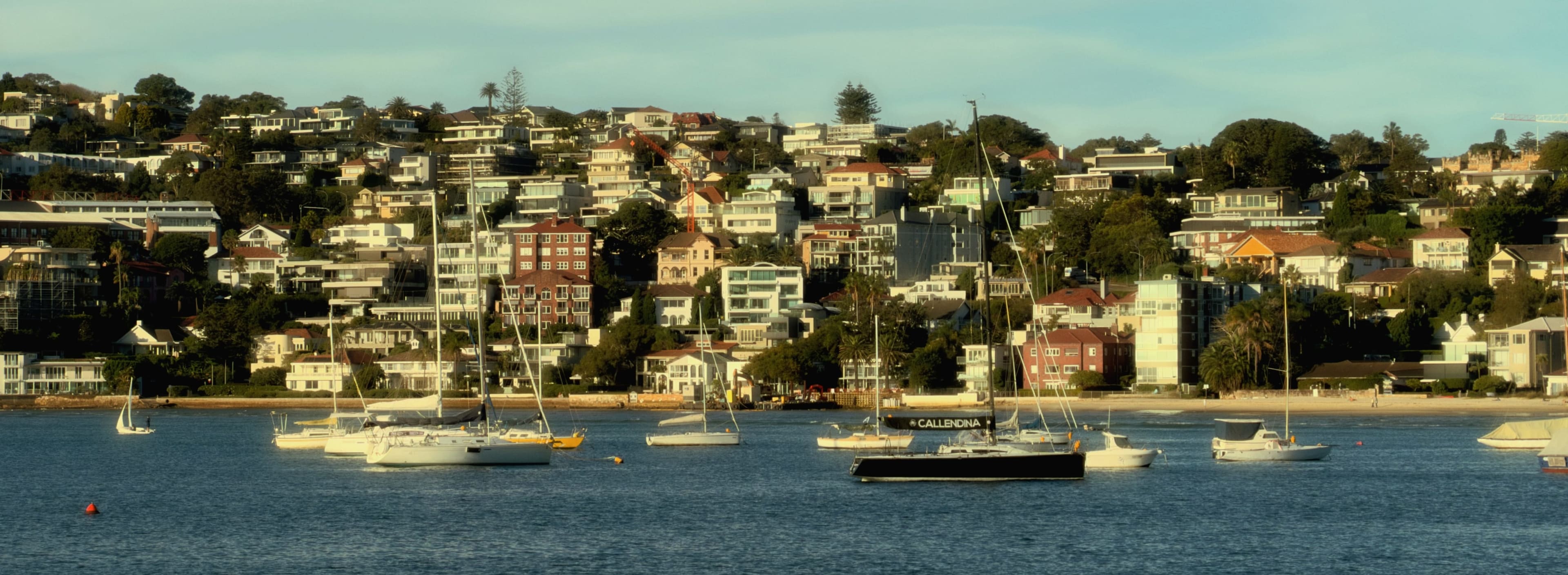Golden Light over Rose Bay