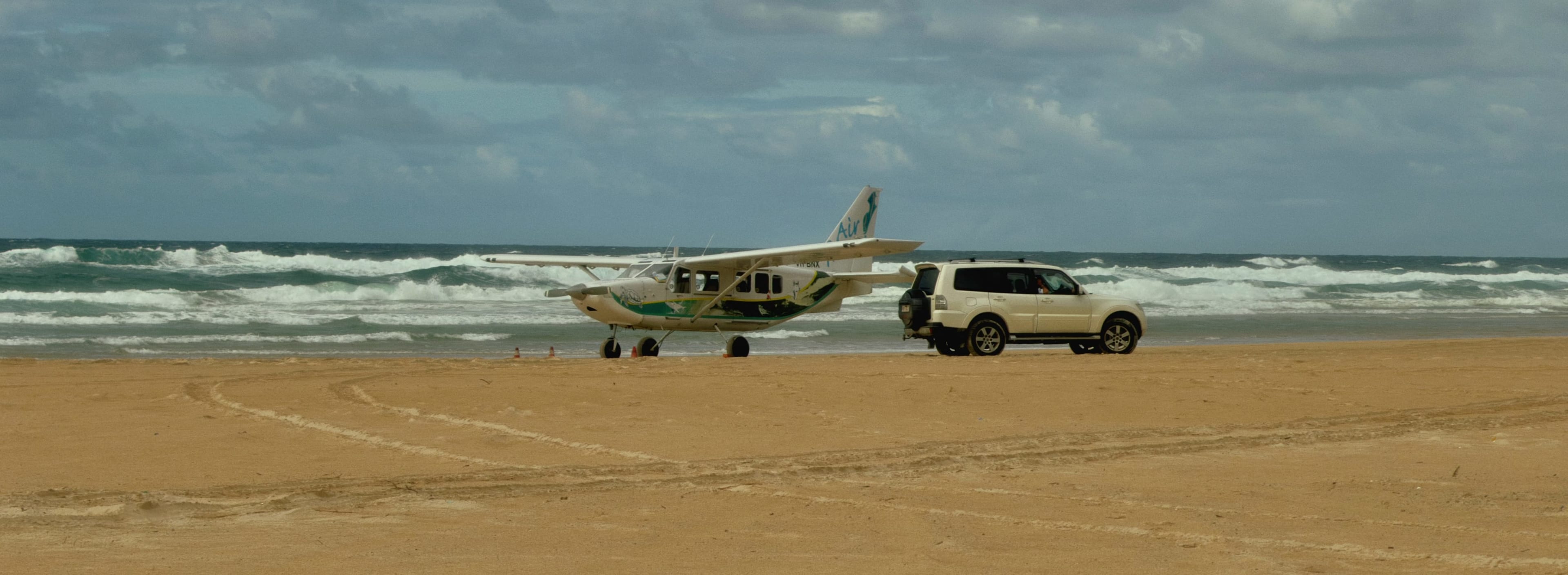 Coastal Arrival