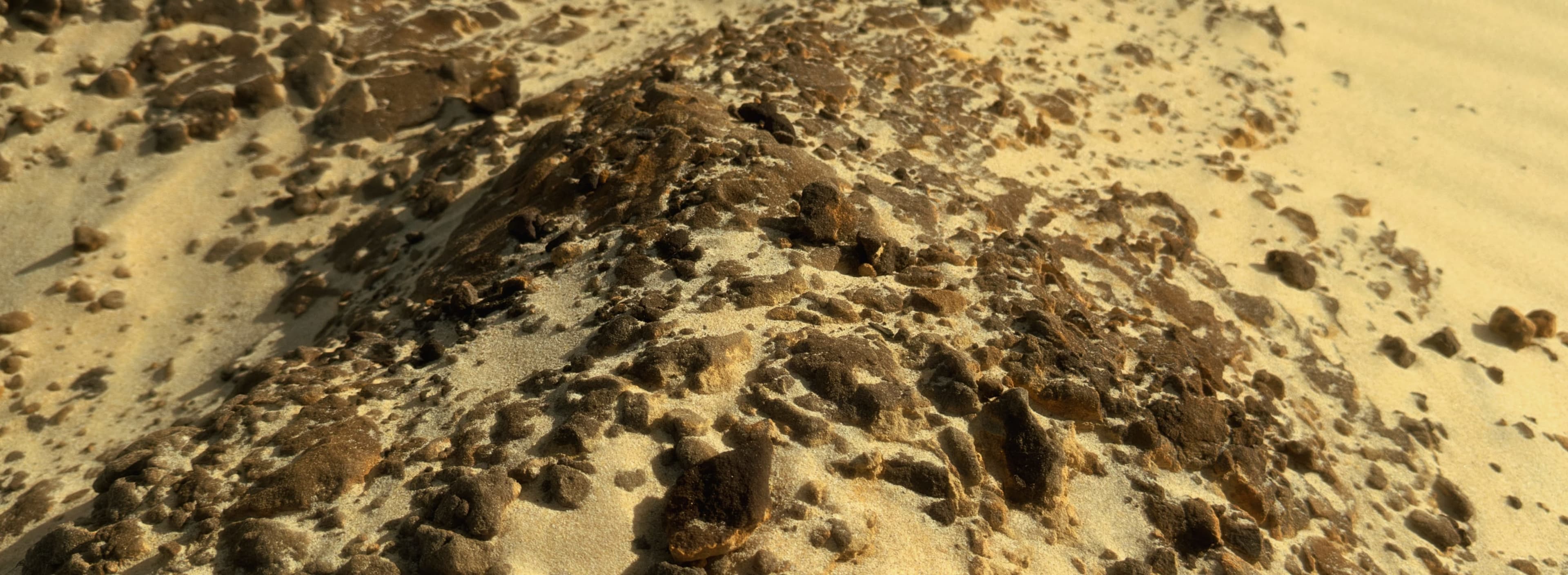Amber Grit