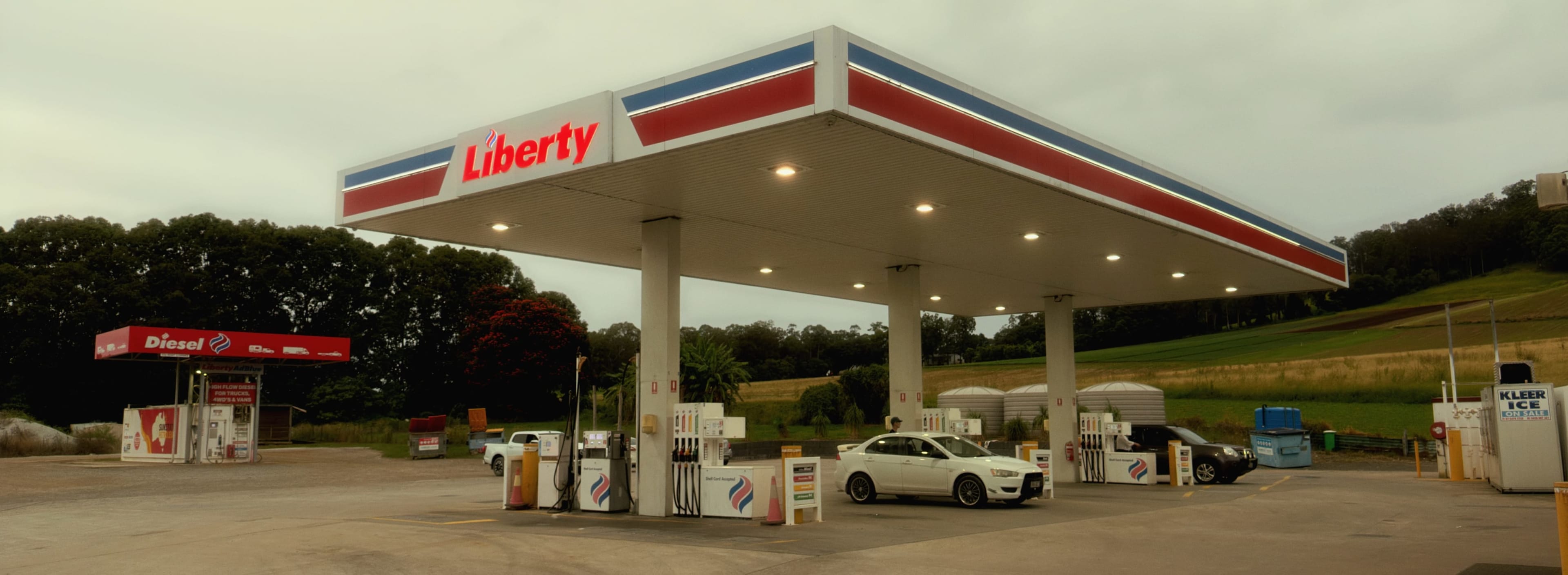 Liberty Under Grey Skies