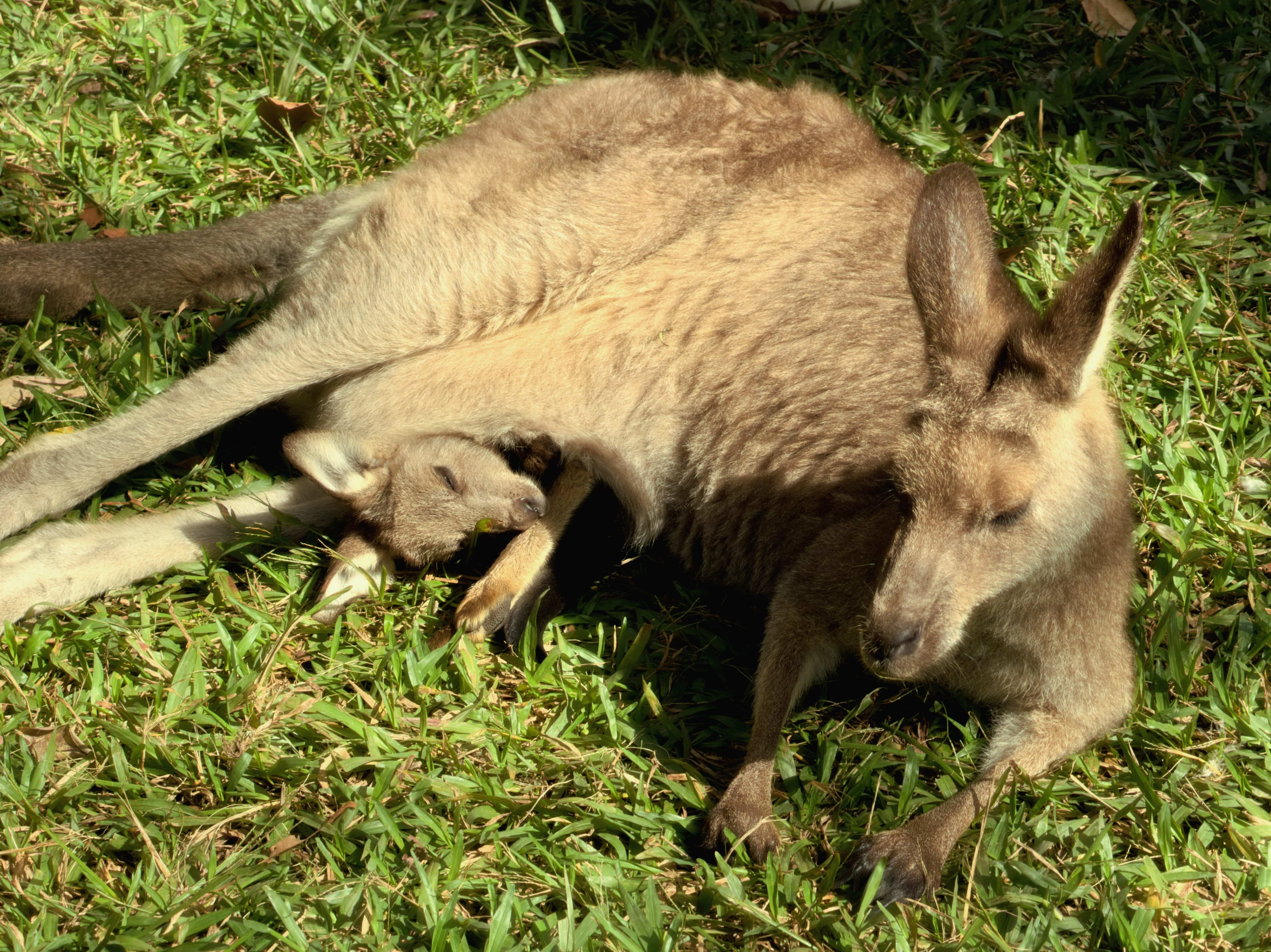 Sun-warmed pouch