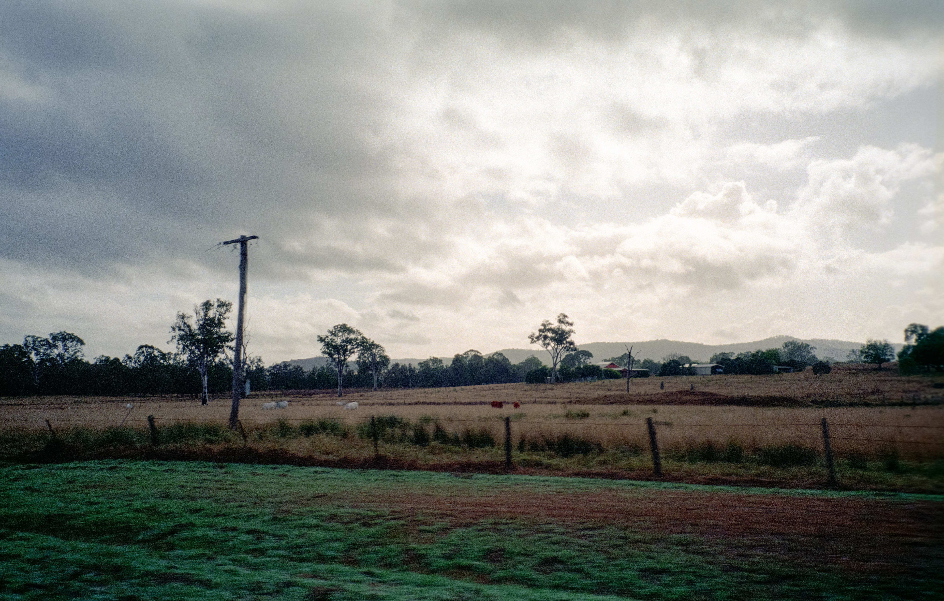 Heavy Sky Over Paddock