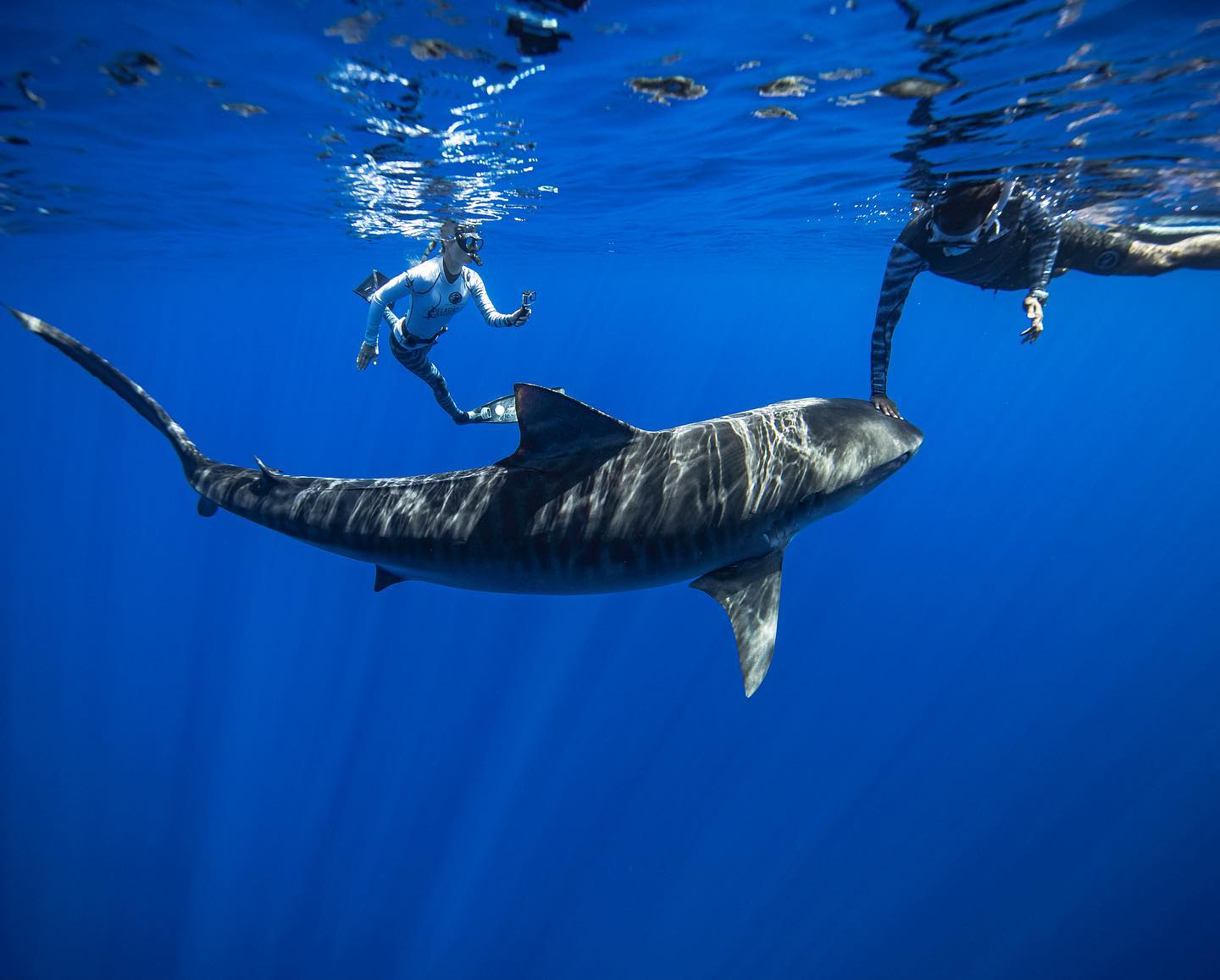 Pelagic Divers Fuvahmulah 3