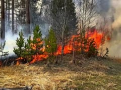 Спасатели напомнили губкинцам о соблюдении правил противопожарной безопасности