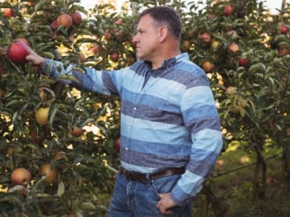 Минсельхоз РФ рассмотрит возможность поставки яблок из других стран