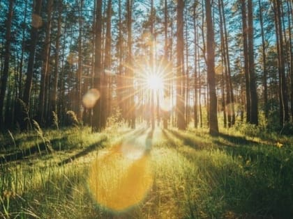 Прогноз погоды на 25 августа в Белгороде