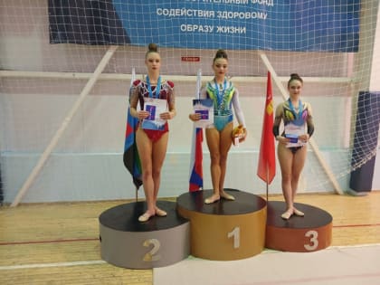 Первенство по художественной гимнастике прошло в Шебекинском округе