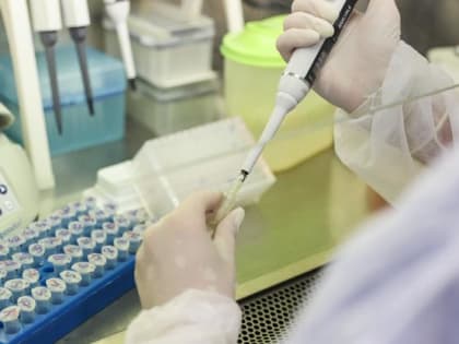 Динамика экономического роста в 2023 году