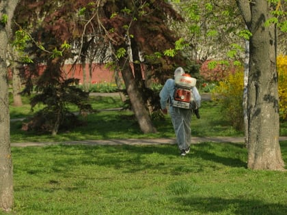Специалисты начали дезинсекцию общественных пространств от клещей