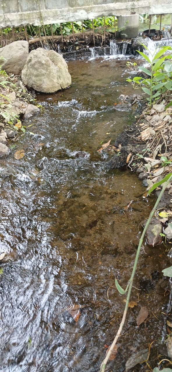 Entorno natural y río aledaño
