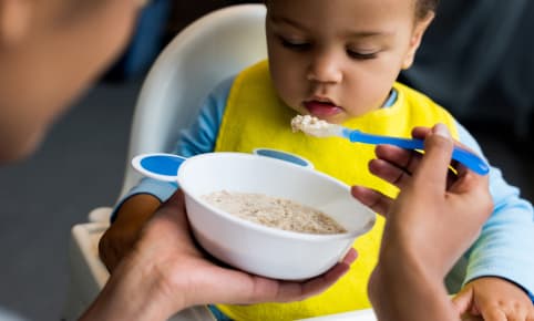 Quels féculents peut-il manger ?