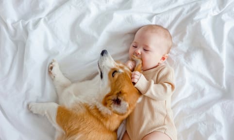 Un animal domestique pour votre enfant ? Les avantages & inconvénients !