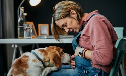 Comment vivre avec son chien pendant la grossesse ?